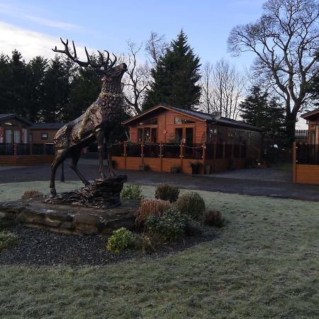 12 Burnside Lodge Auchterarder Exterior foto